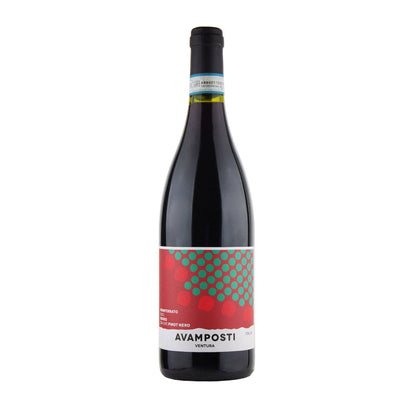 Avamposti Pinot Nero ‘Ventura’ - Spiritly