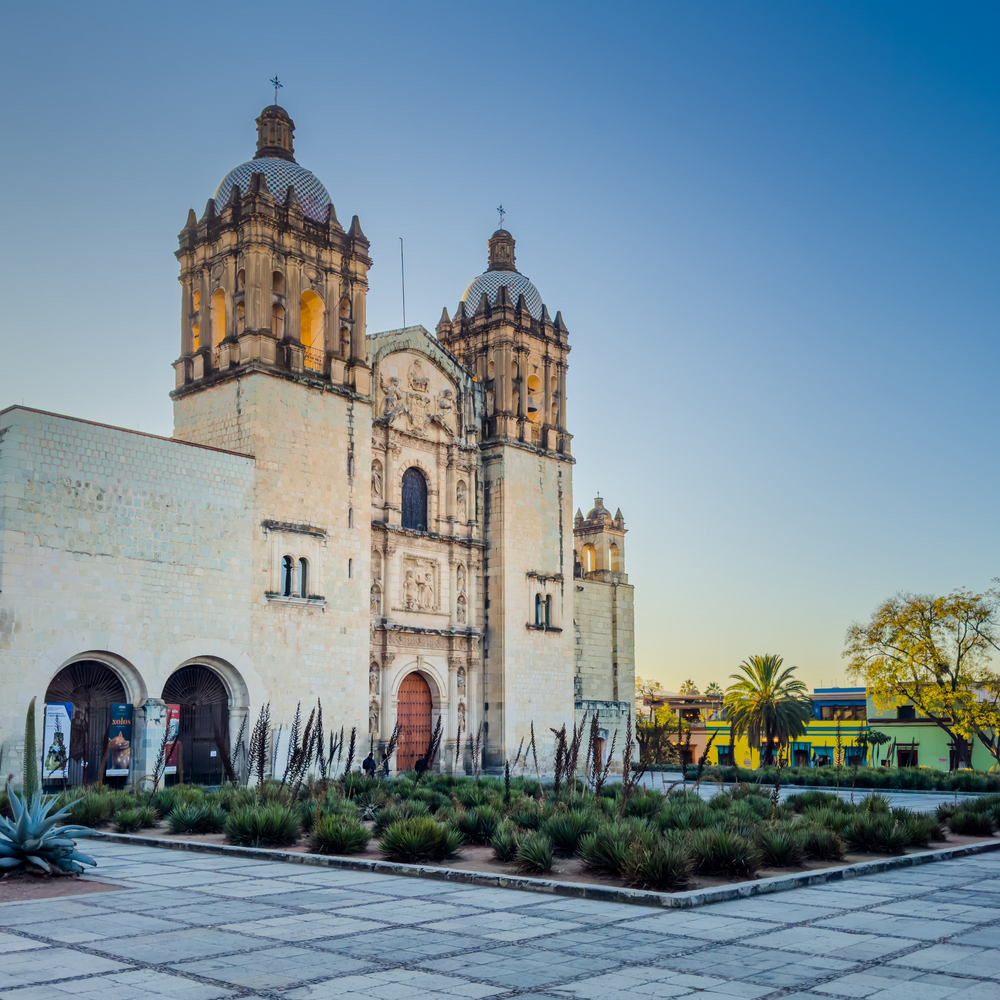 A Celebration Of Mezcal